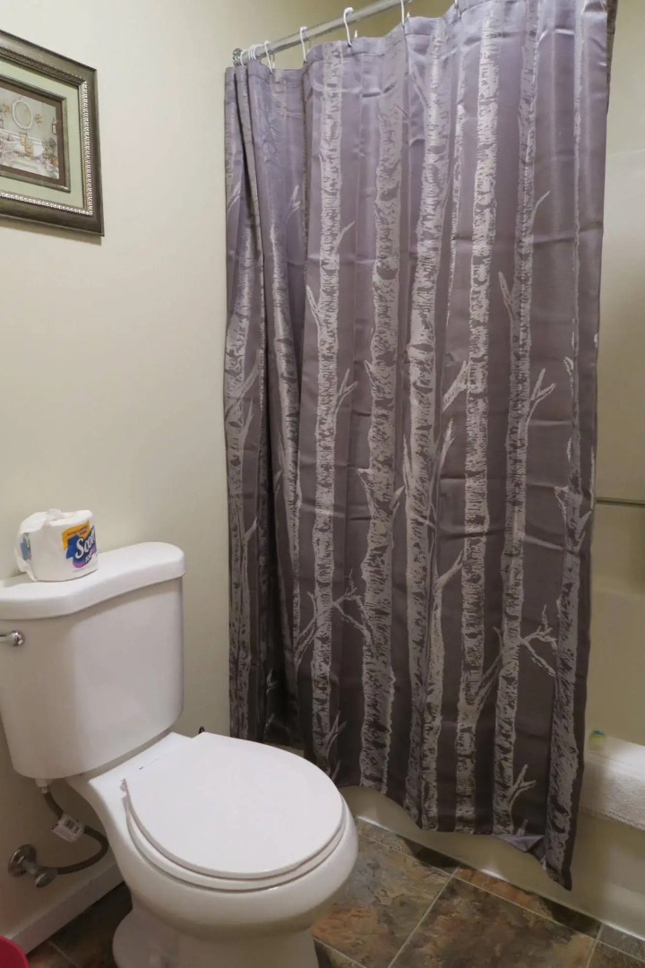 Forest Hill Lodge & Cabins