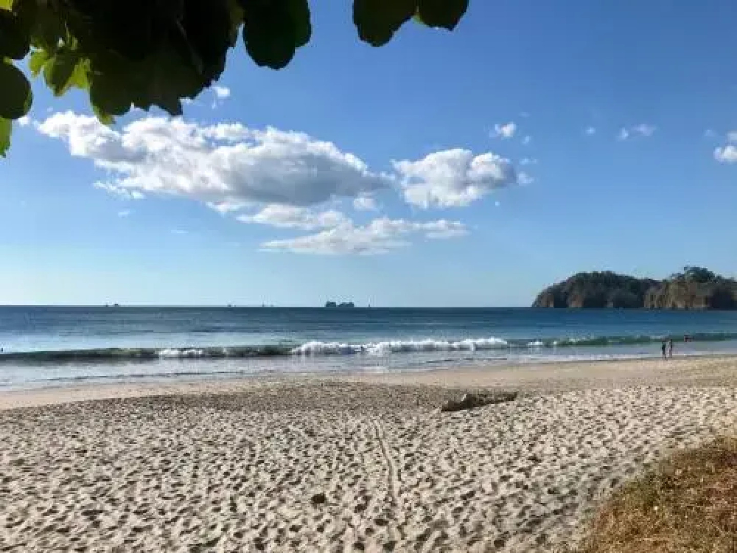 Flamingo Cove Condo 7 - Best Ocean View