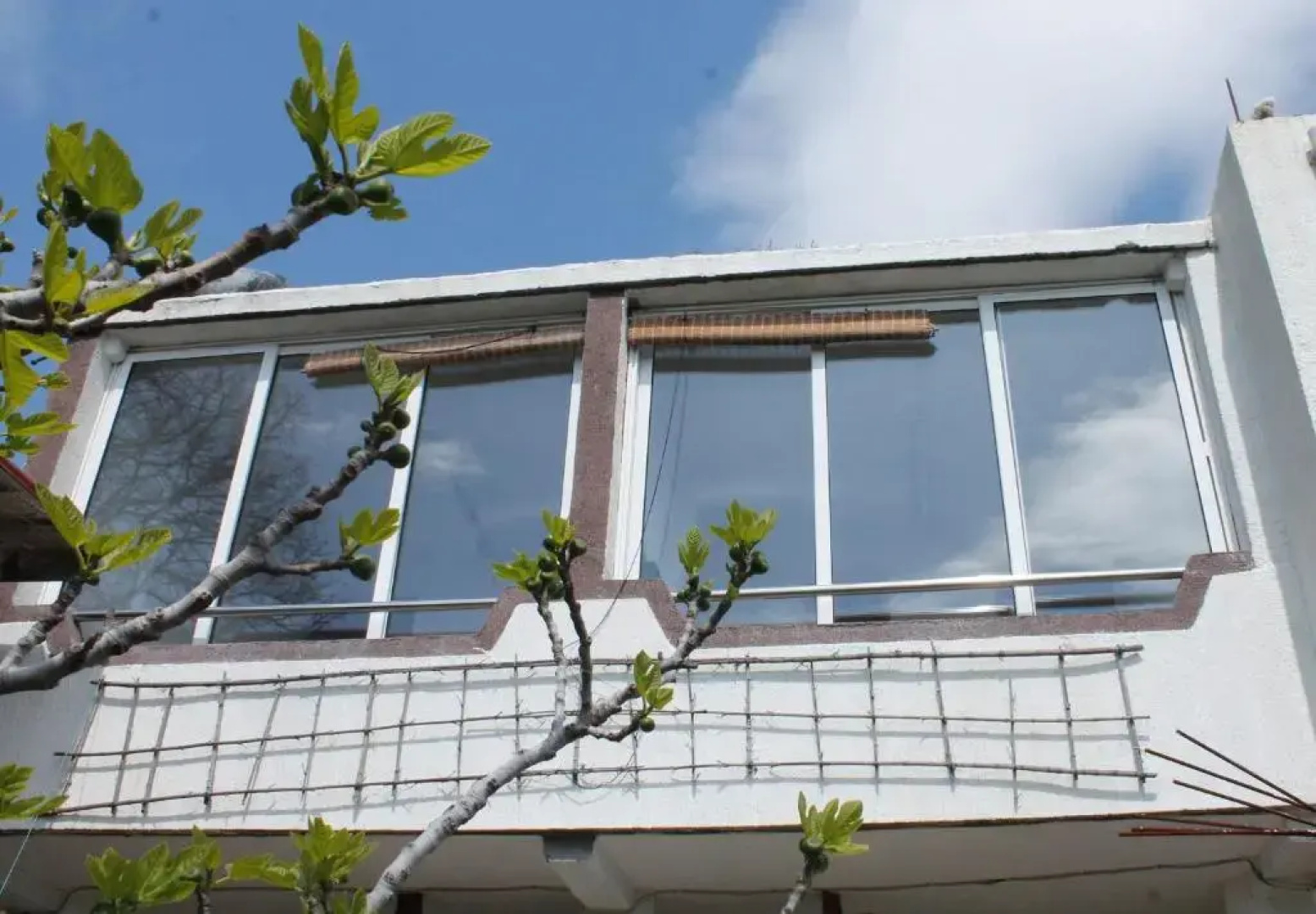 Pataki Guesthouse