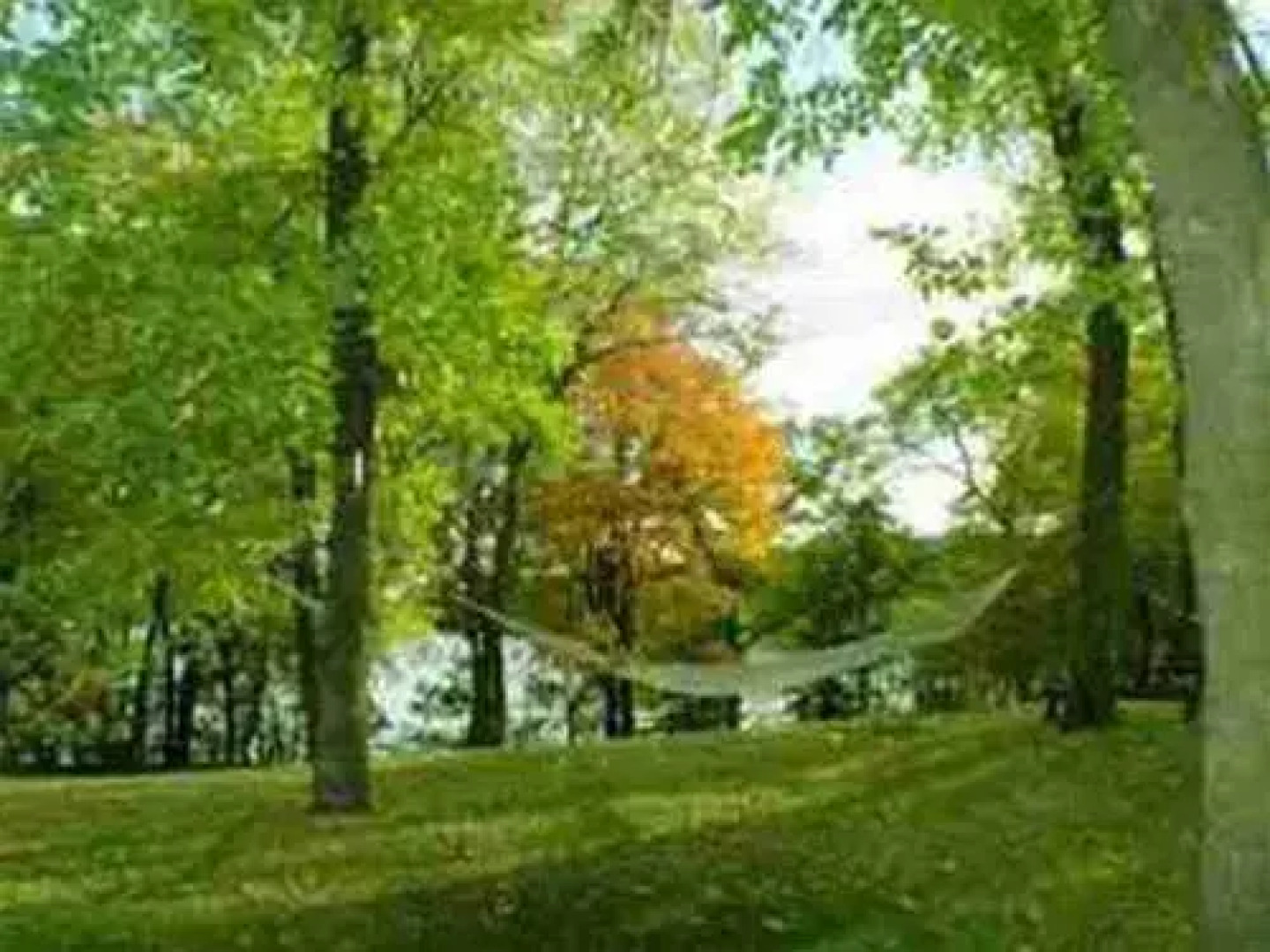 Xanadu Island Bed and Breakfast and Restaurant