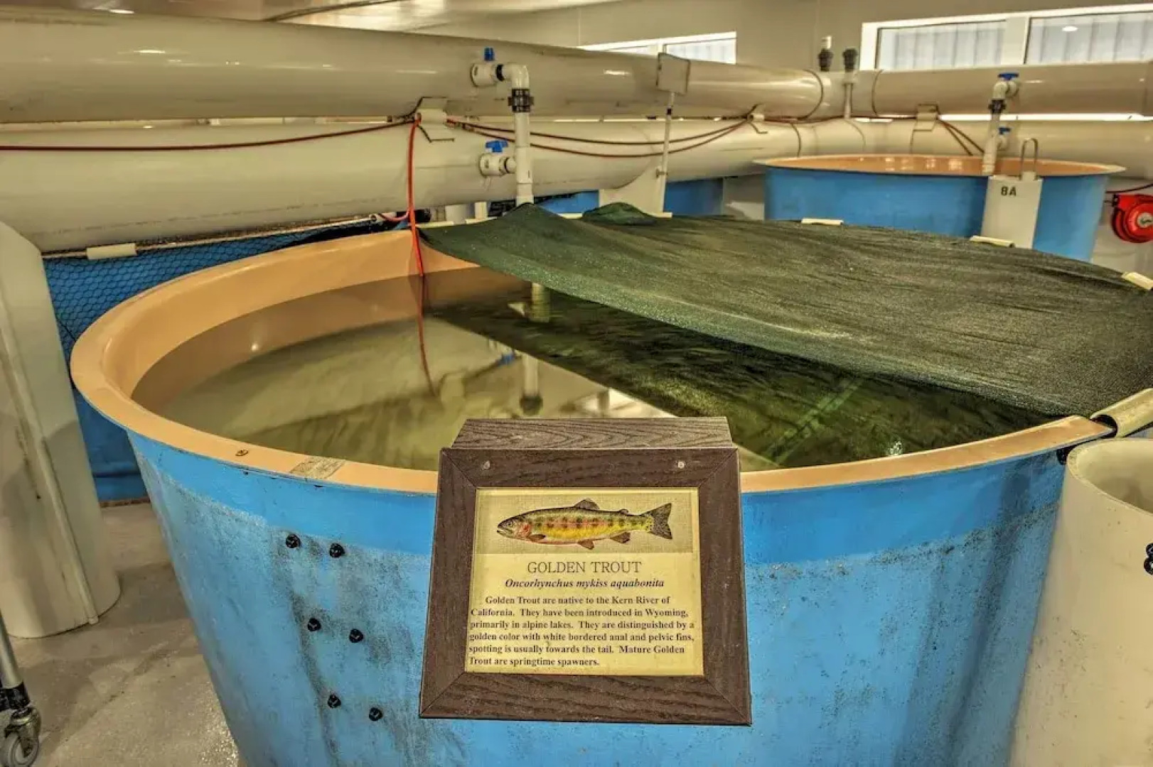 Spacious Home 10 Minutes to Ten Sleep Canyon!