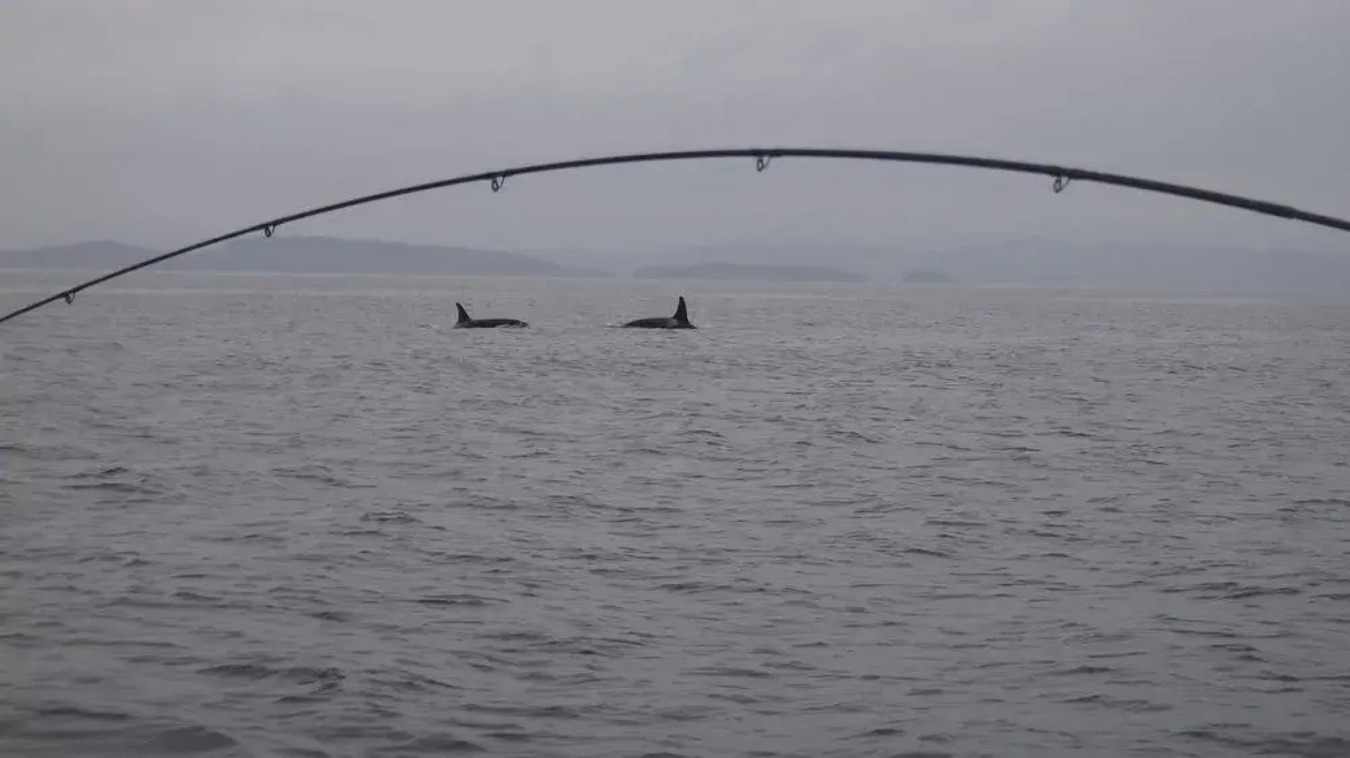 The Oceanfront Hotel