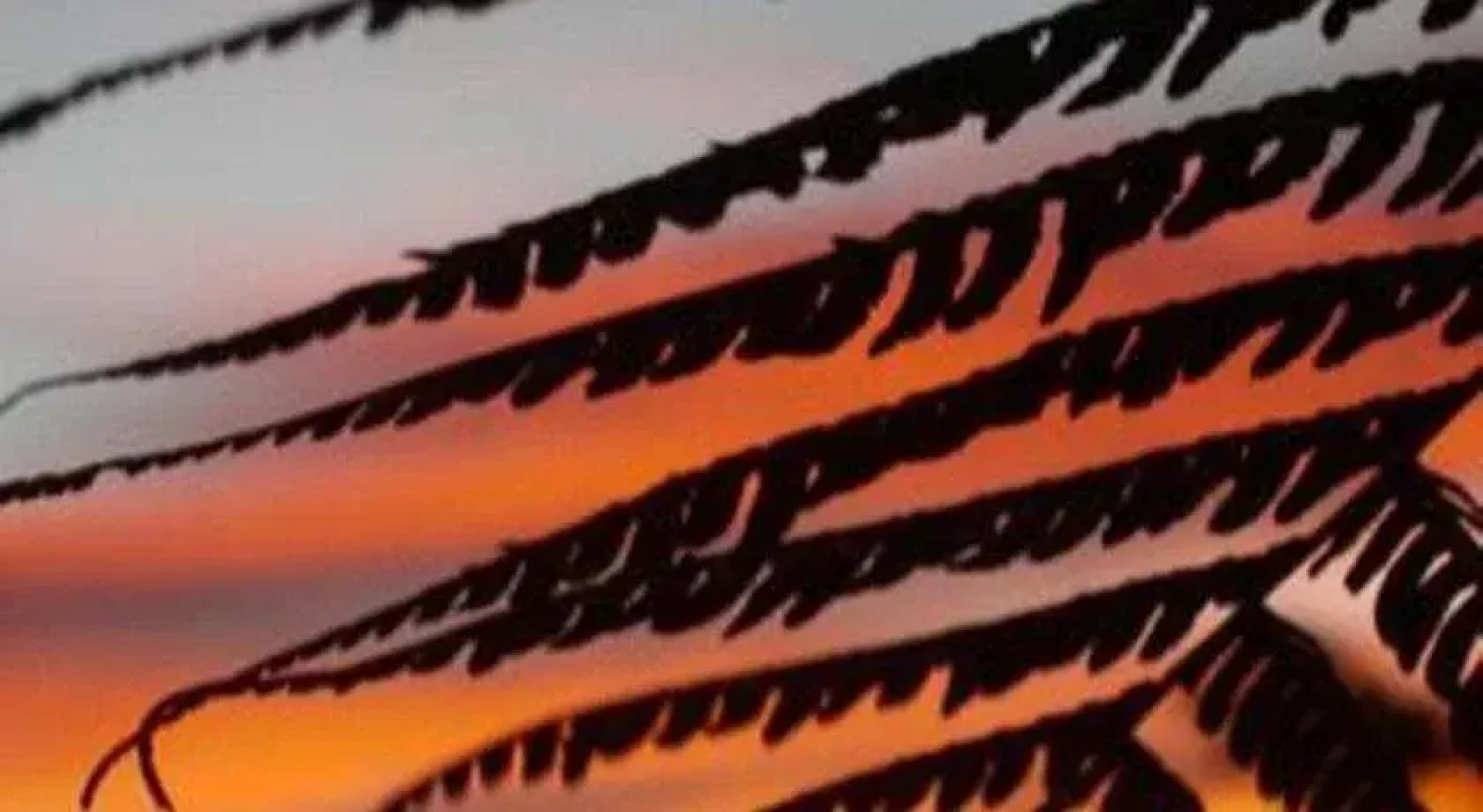 Dave Parker's Eco Lodge