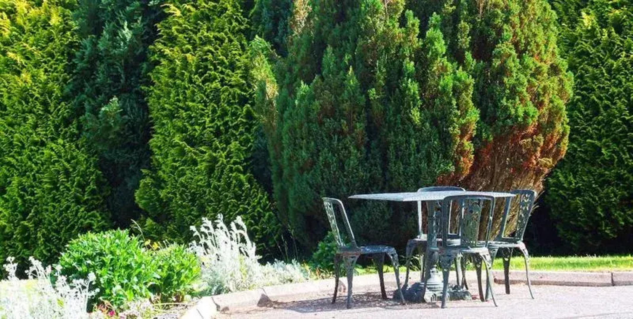 O'Sheas Ceol Na Habhann B&B