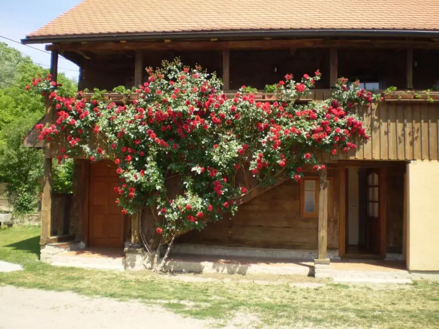 Apartments Iža Na Trem