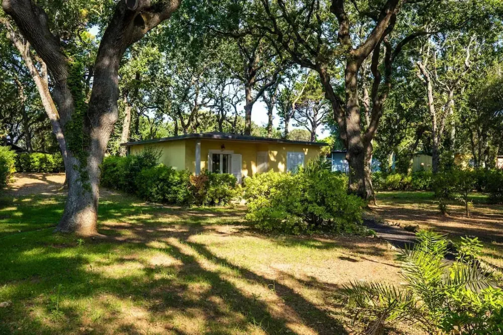 Bungalow in San Vincenzo With Pool