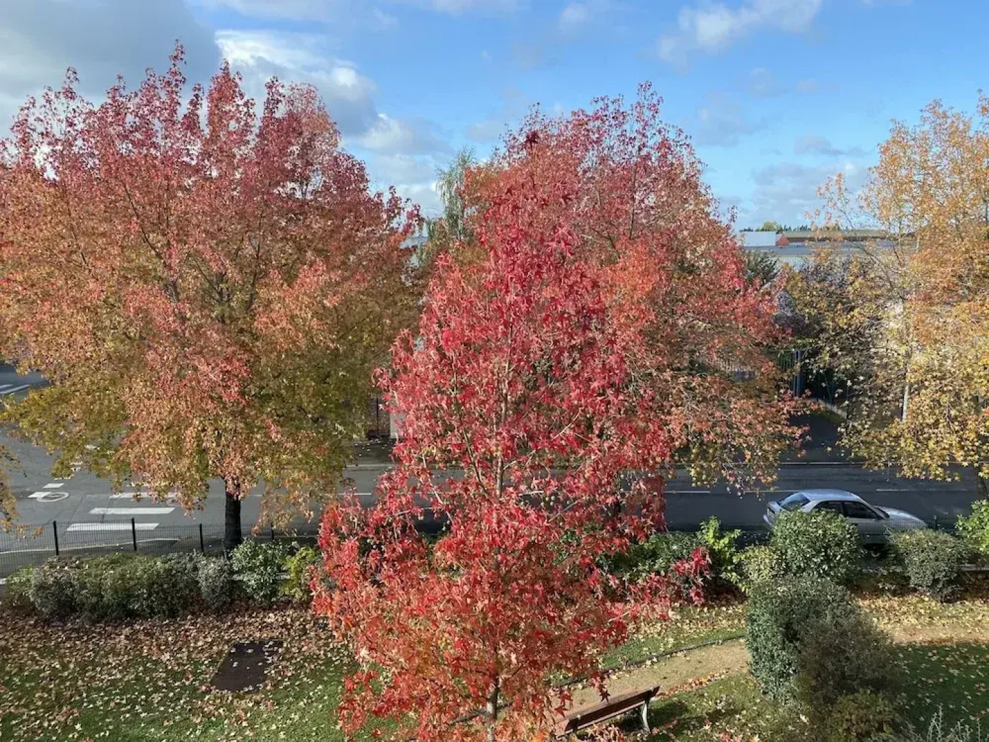 Domitys Les Rives du Cher