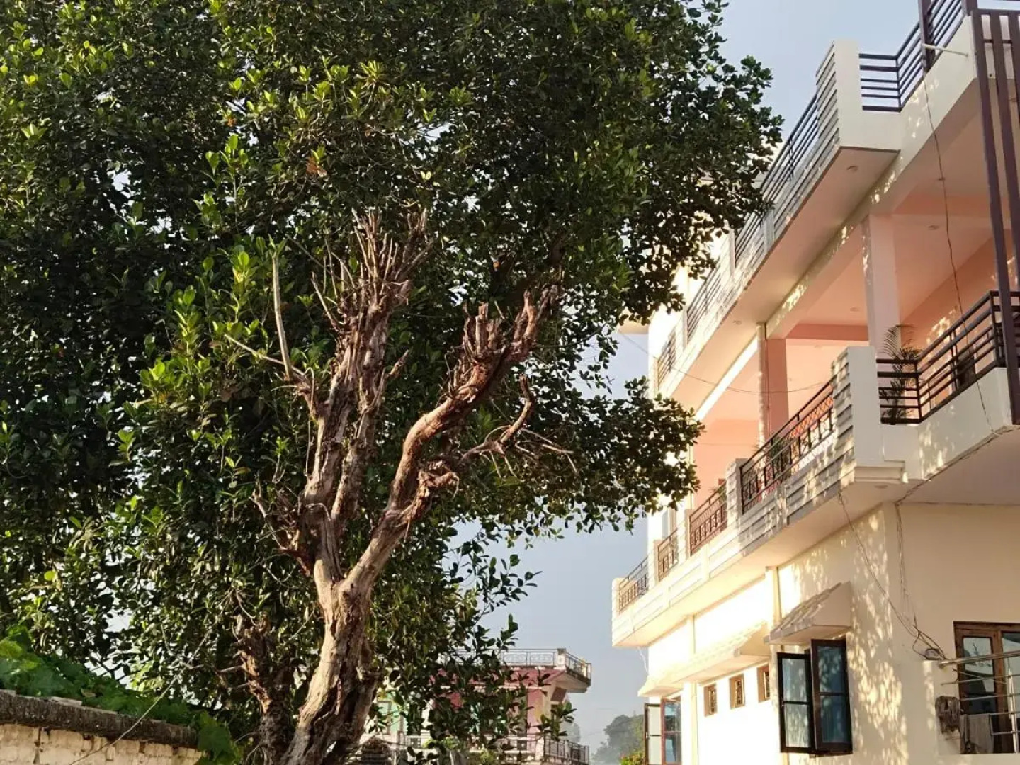 Airport Luxury Nature Valley Homestay