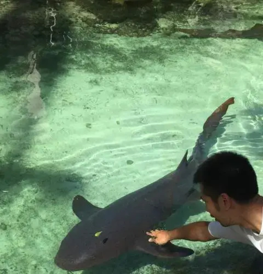 Centre City Backpacking Gem