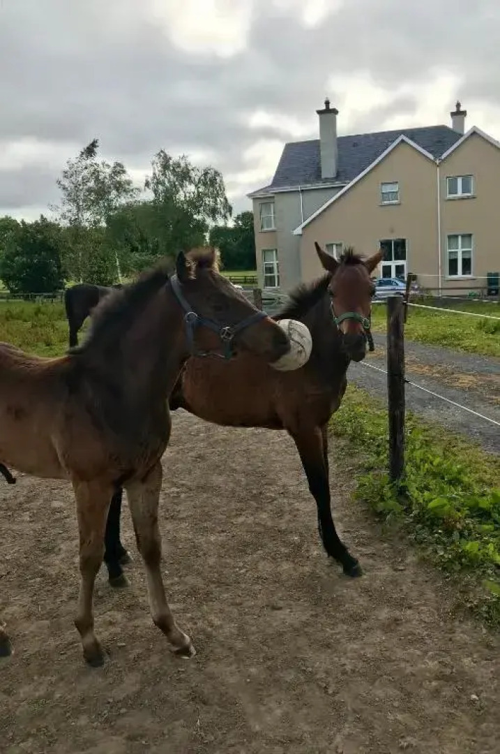Rossmanagher Country House