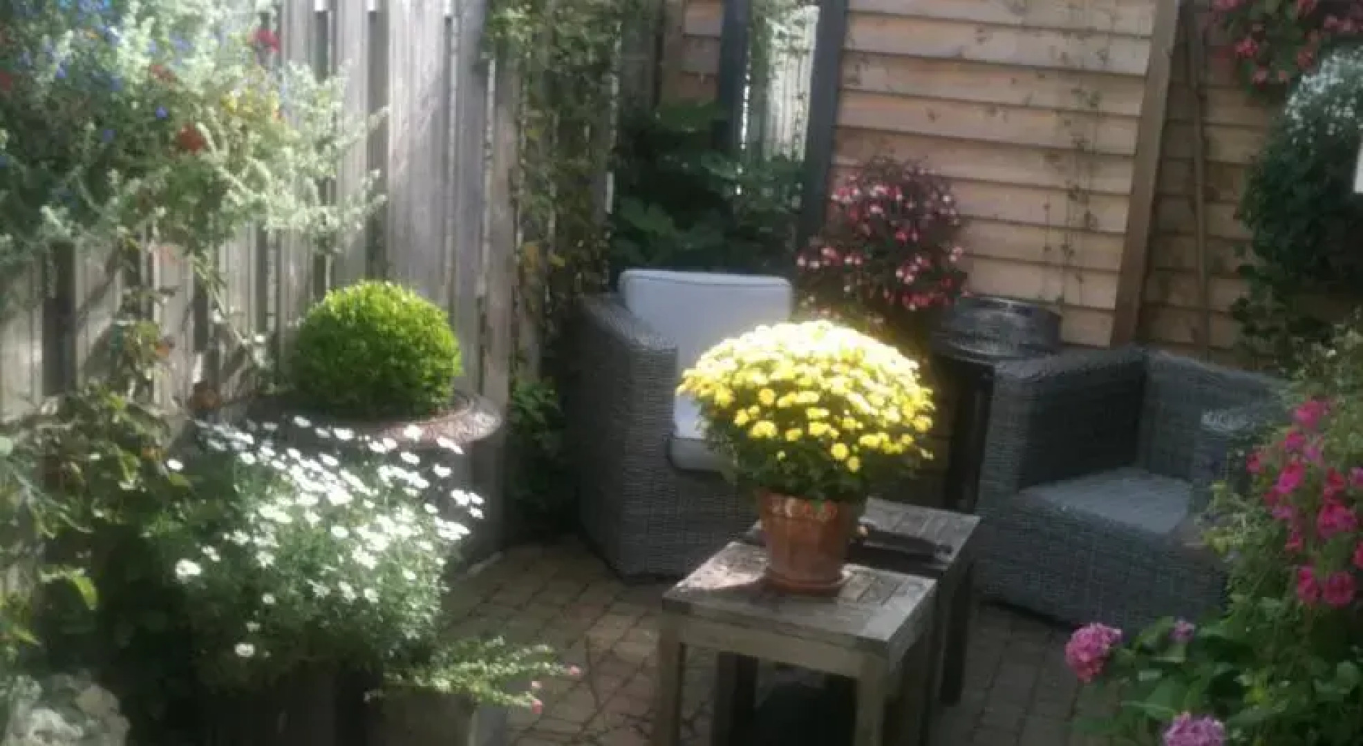 B&B Daar bij die Molen