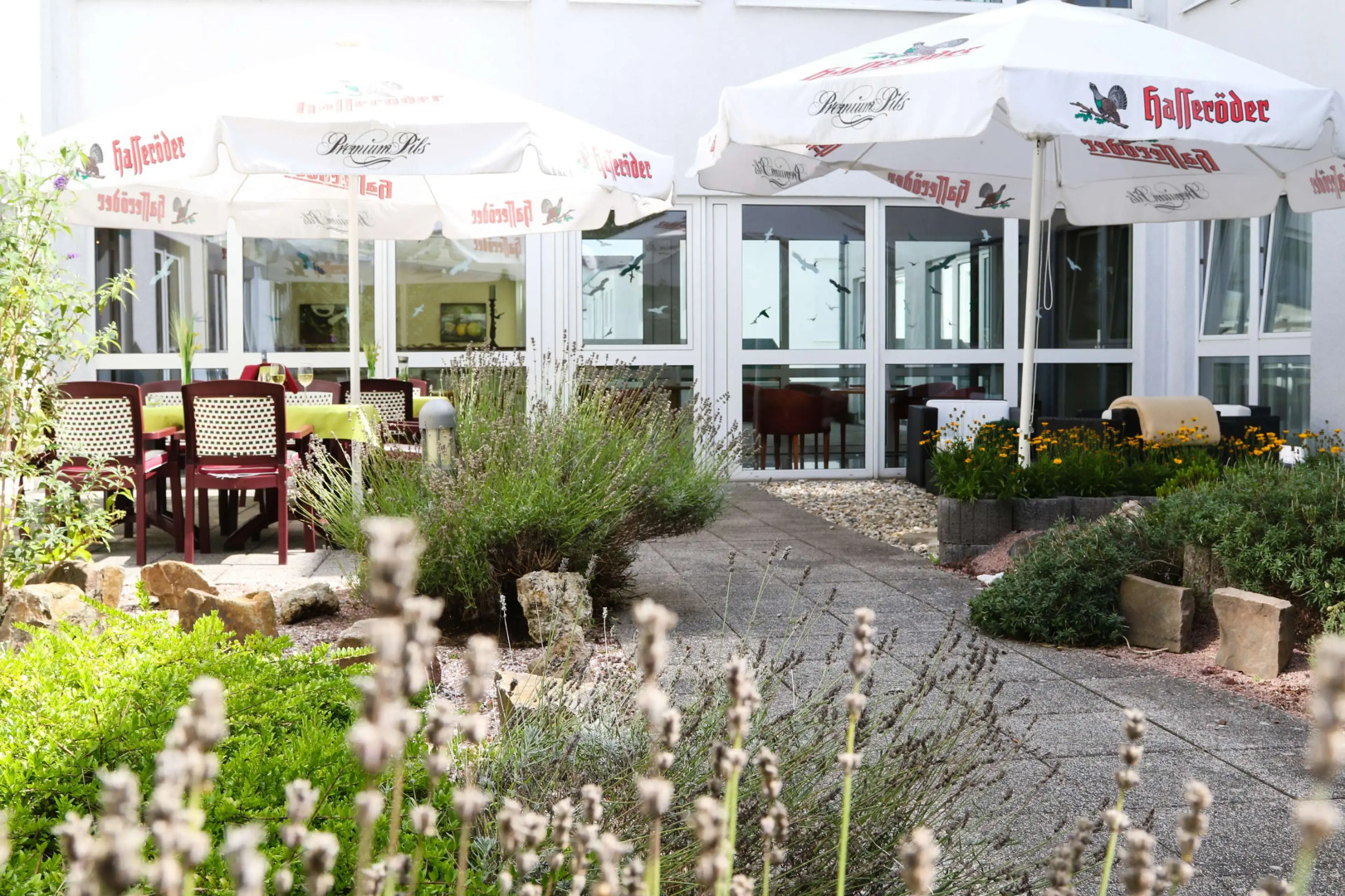 Отель Amedia Frankfurt Russelsheim Trademark Collection by Wyndham