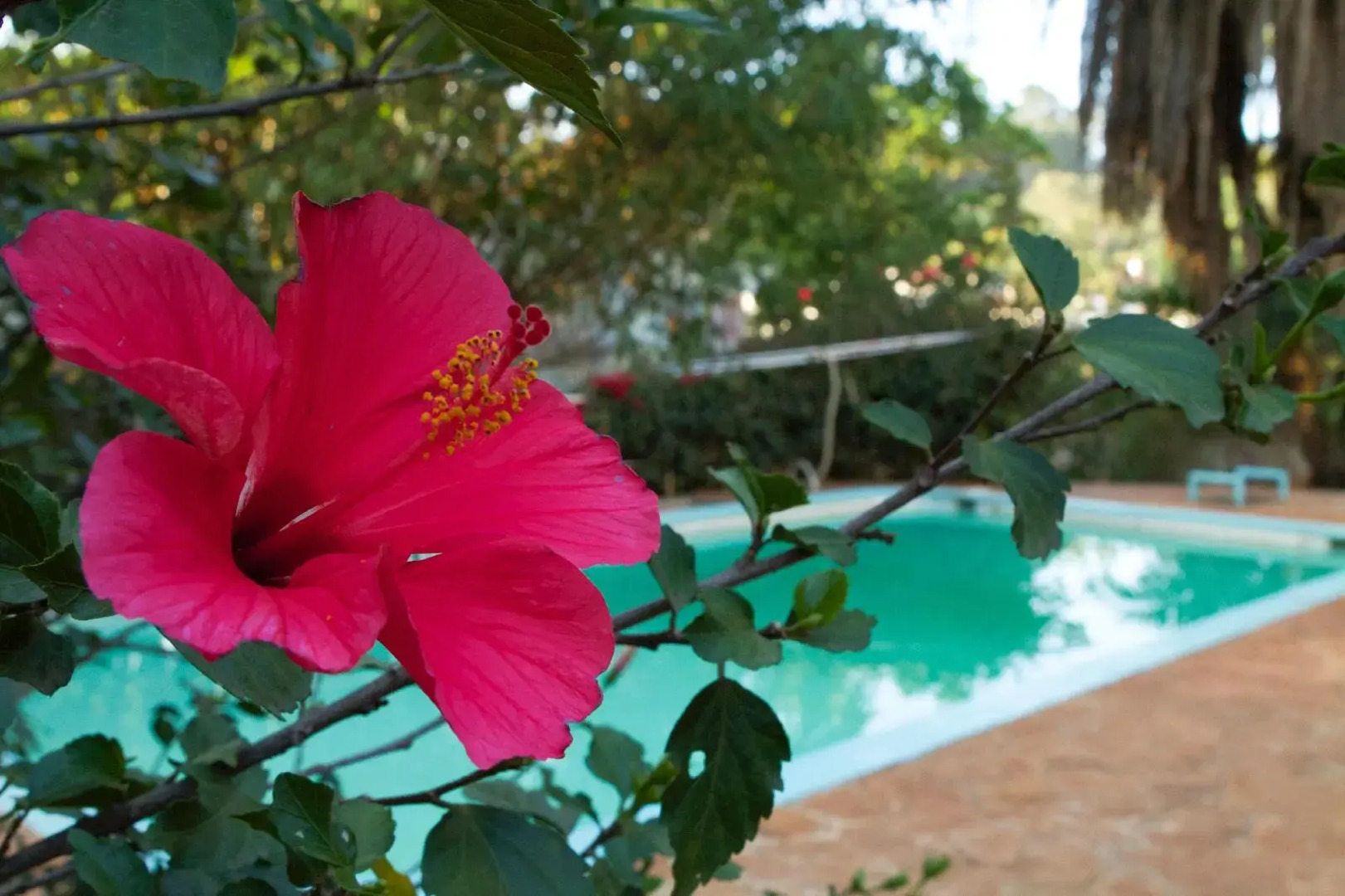 Eden Gardens Hotel Nairobi