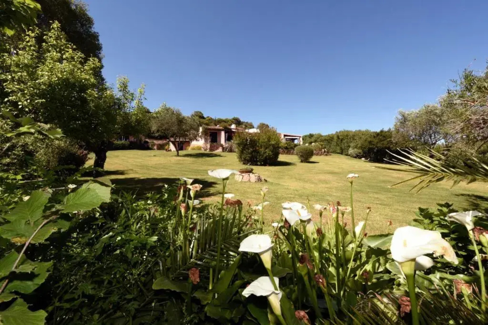 Villa Dianthos - Luxury 7 Bedroom in Porto Cervo