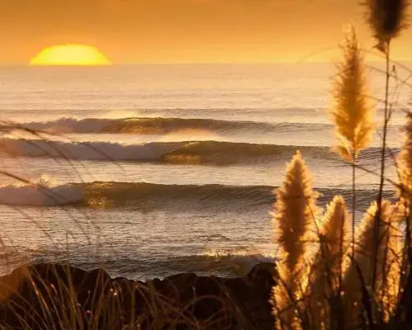 Longitude Apartments