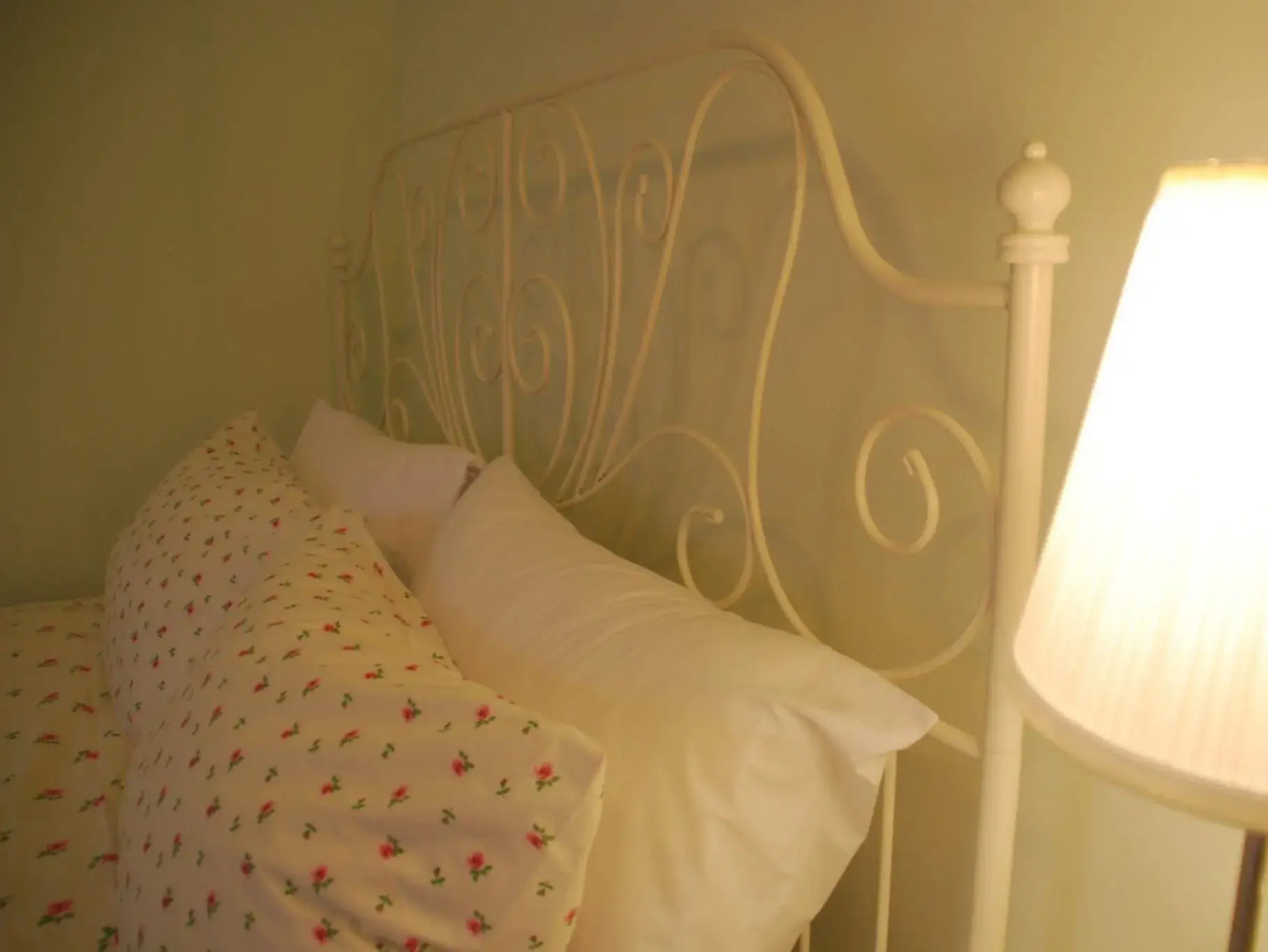 Travel Plus Friend B&B