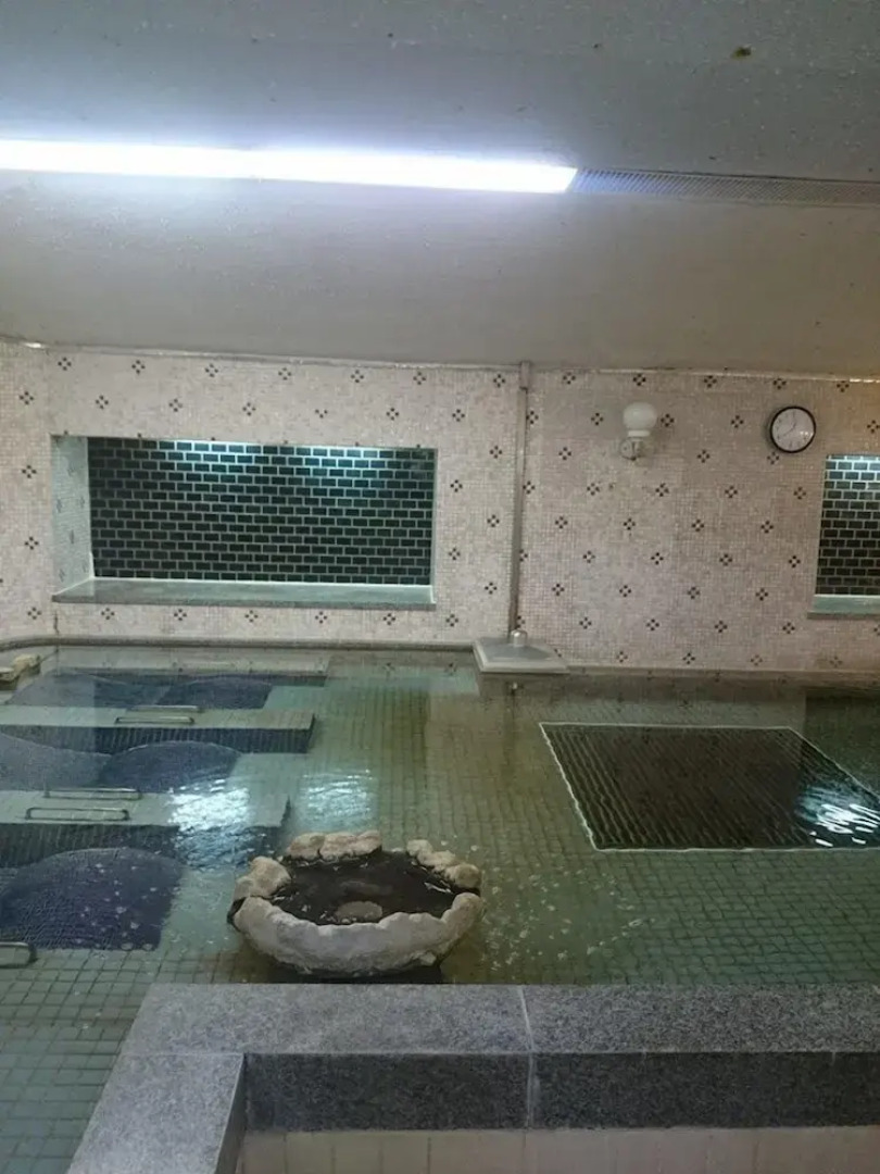 Capsule & Sauna Japan – Caters to Men