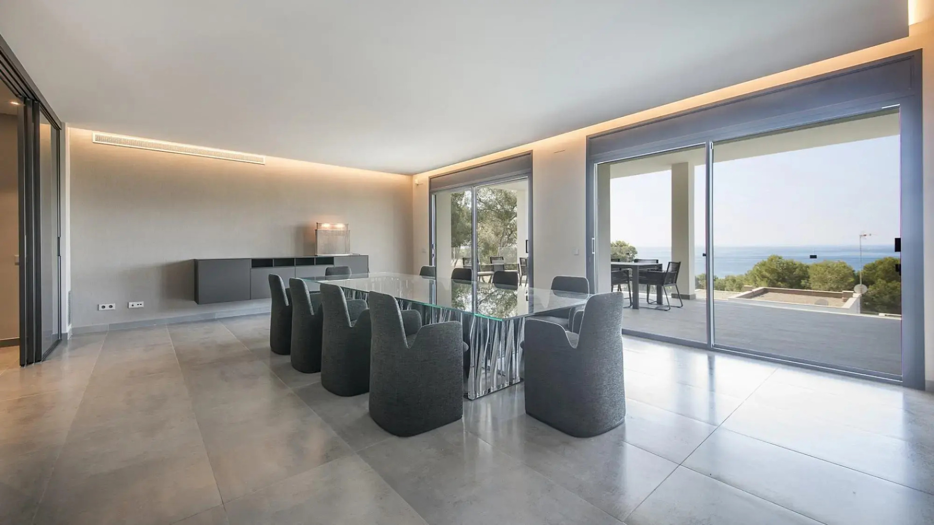 TH85-Limonium-9 in Tarragona