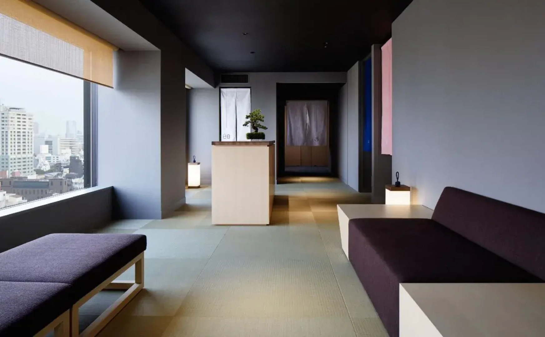 Onsen Ryokan Yuen Shinjuku