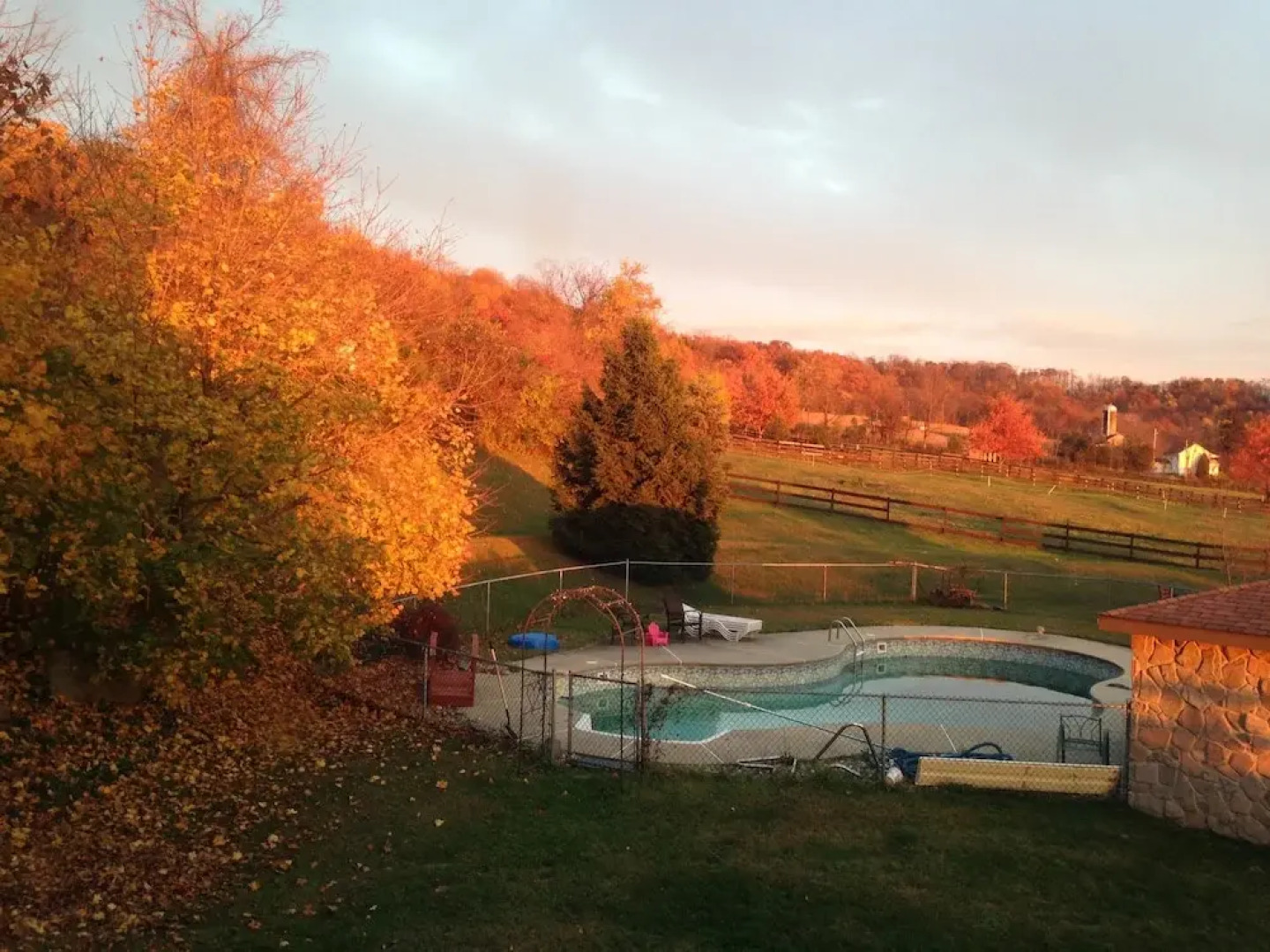 The Dragonfly Bed and Breakfast