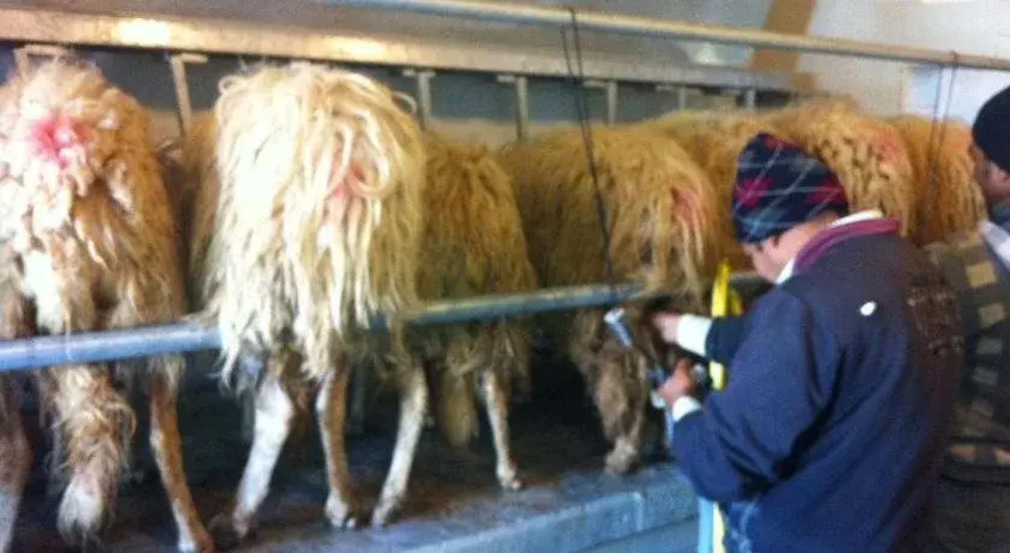 Casina Murgecchia Fano