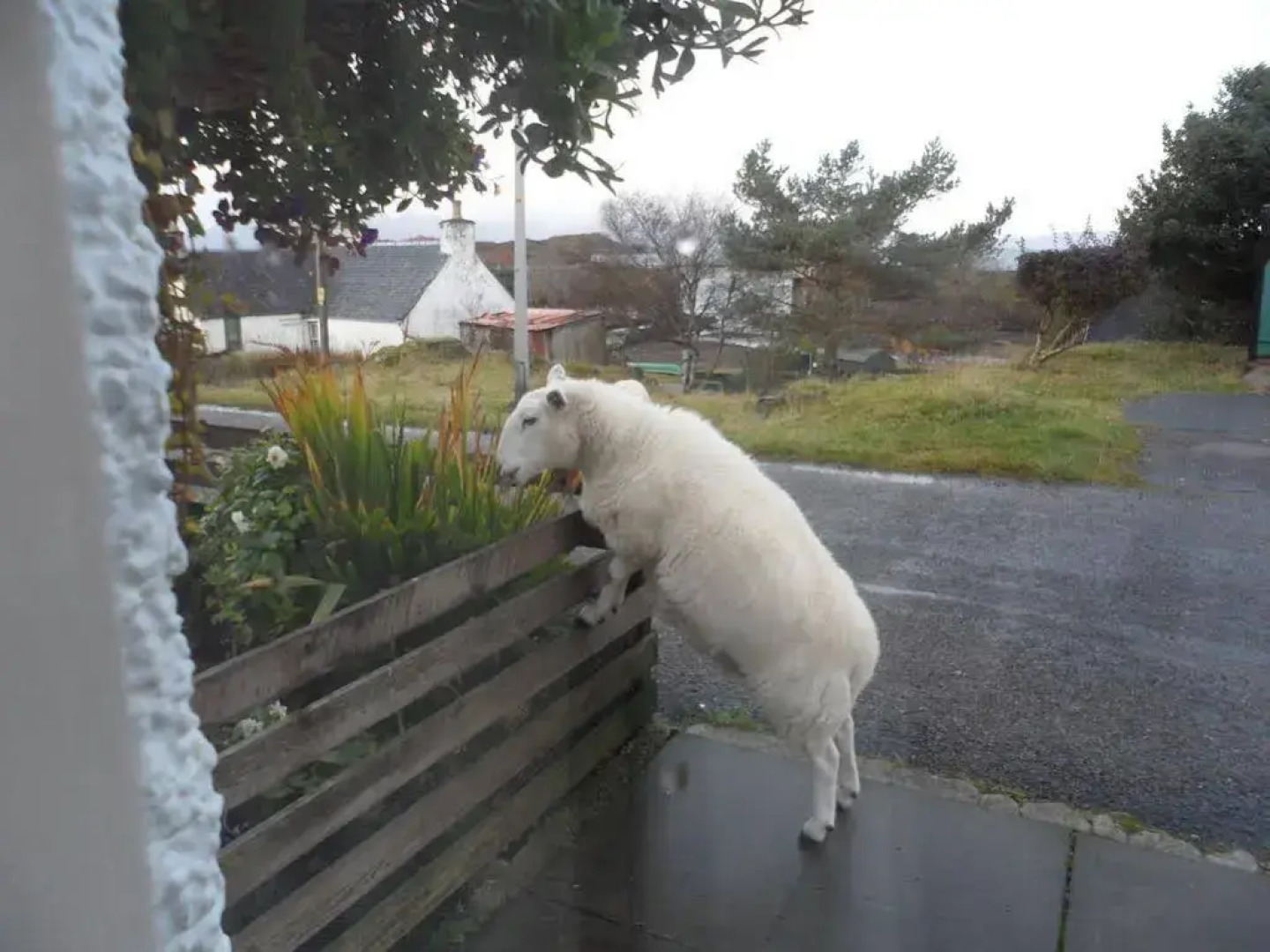 Creag Dubh Bed & Breakfast