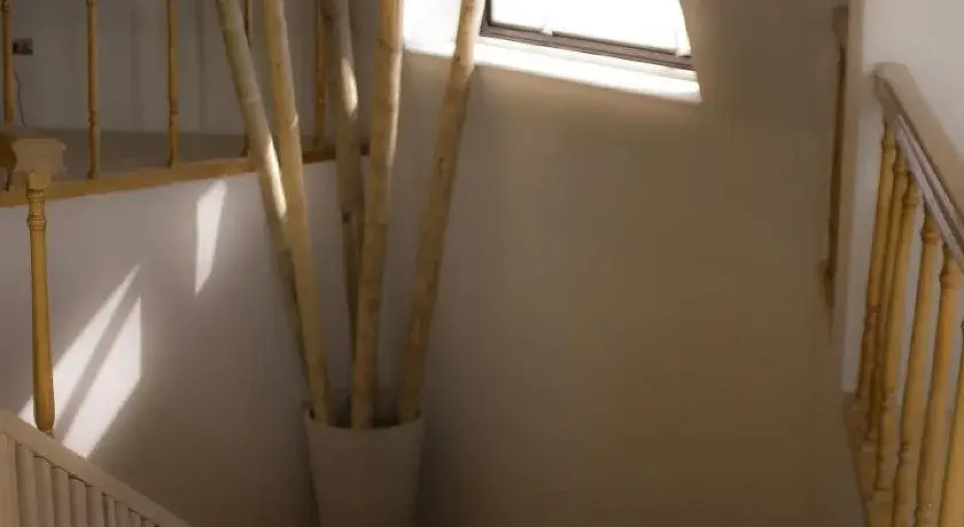 Hotel Las Terrazas Business