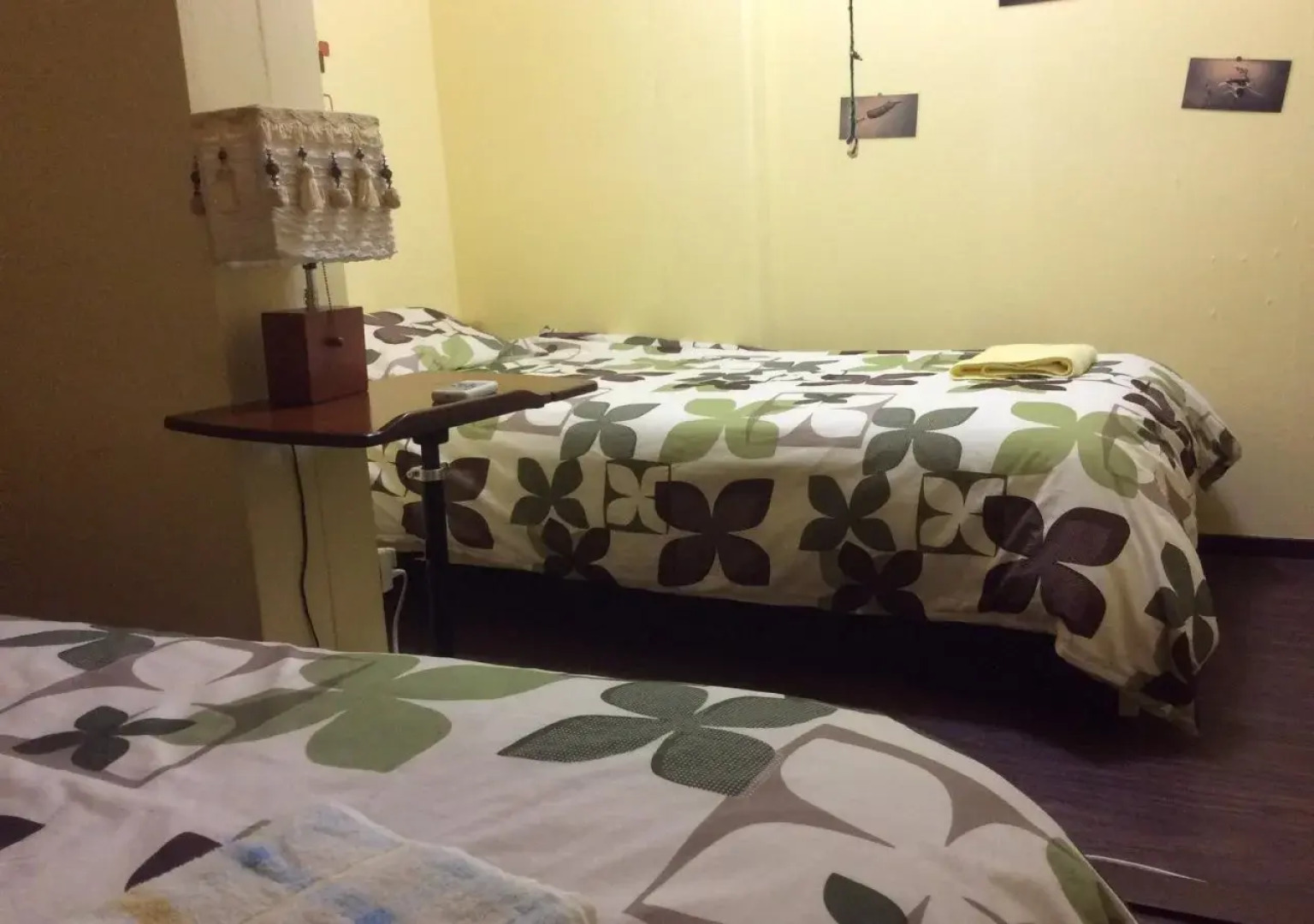 Zamamia International Guesthouse