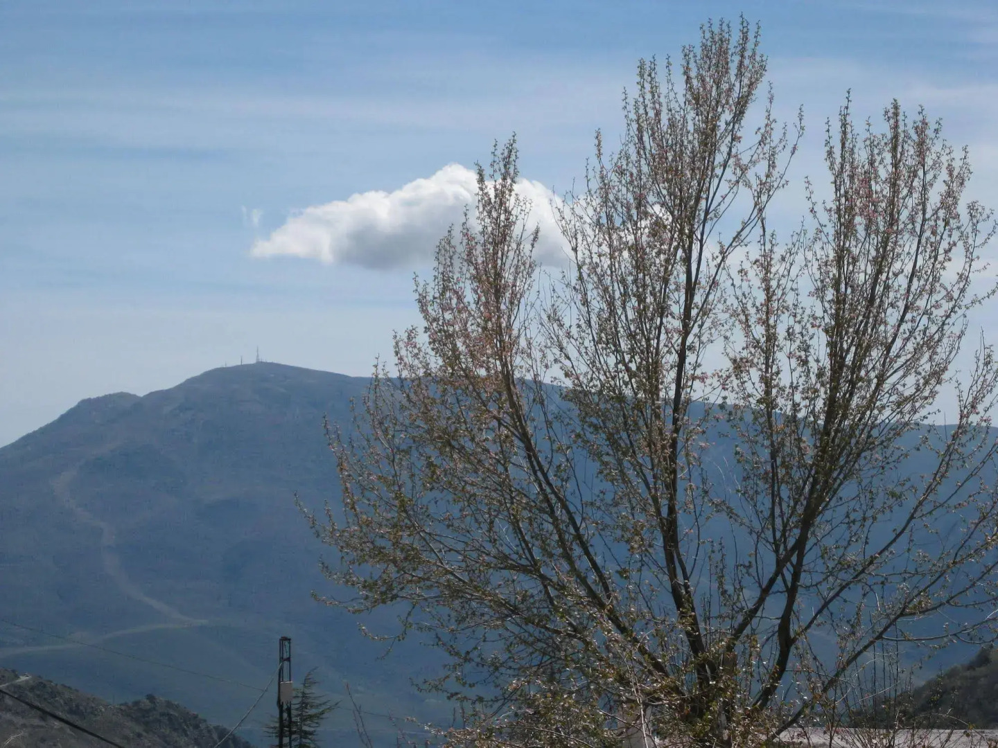 El cascapeñas de la alpujarra