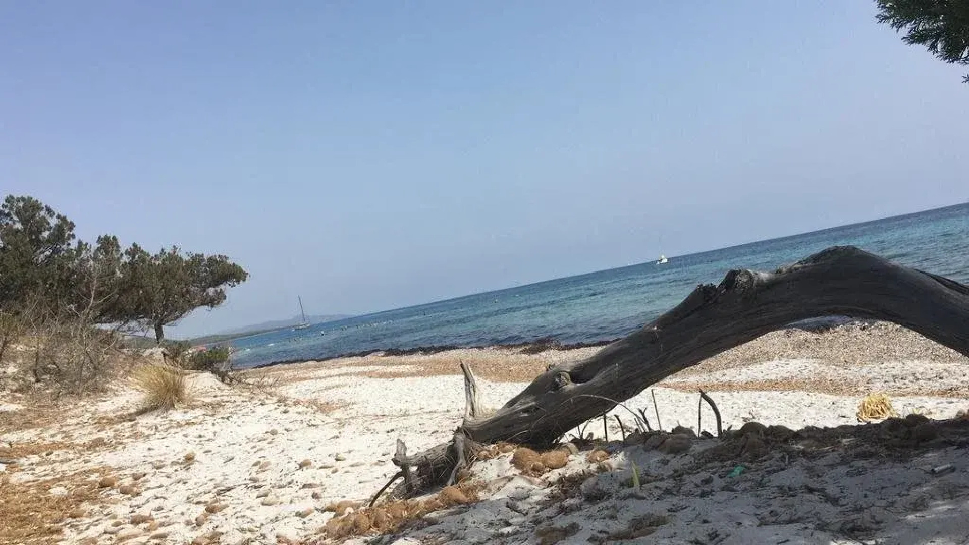 Petite Maison affittacamere