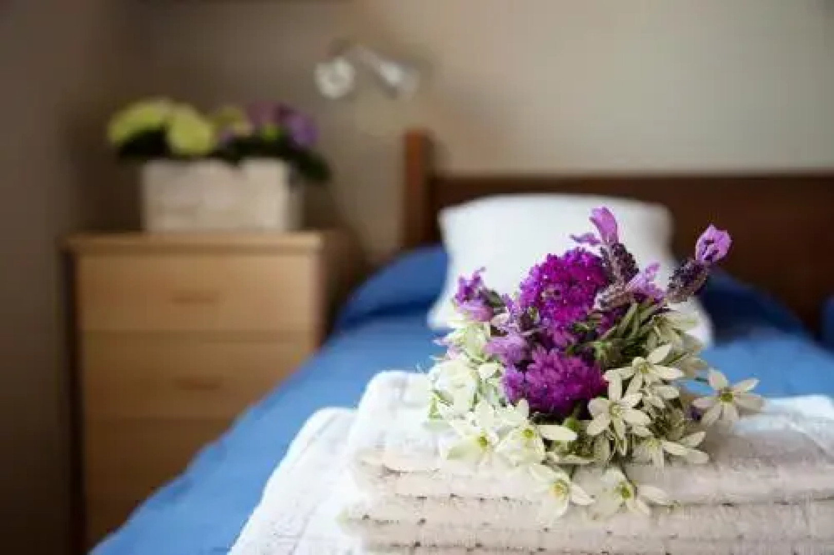 Campeggio Ideal Molino