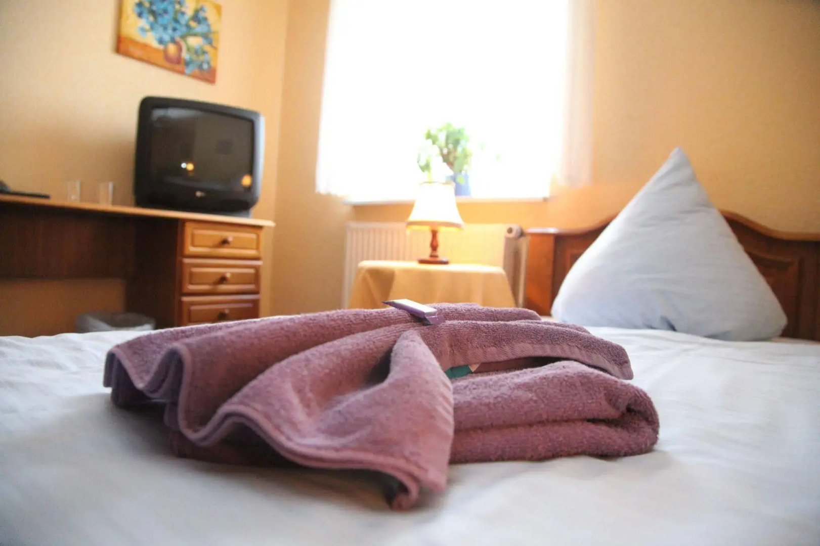 Das Wolfshotel am Arendsee