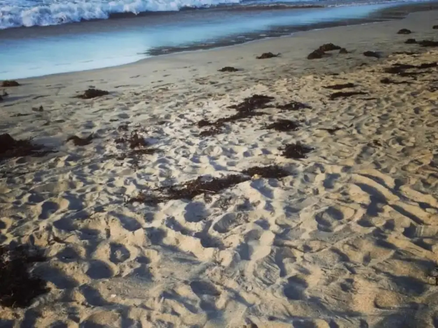 Palm Beach Bungalows