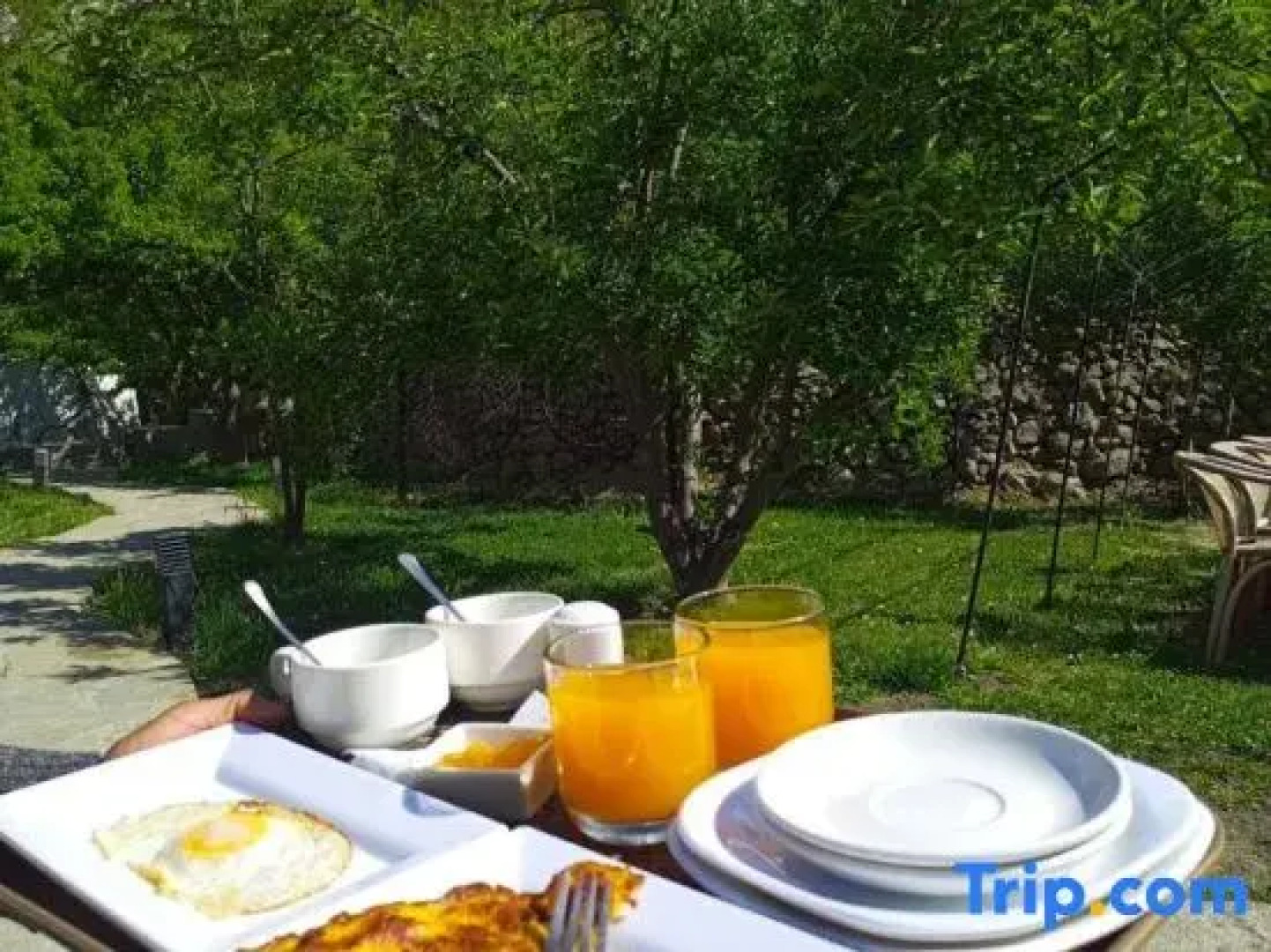 Grapes Garden Resort Hunza