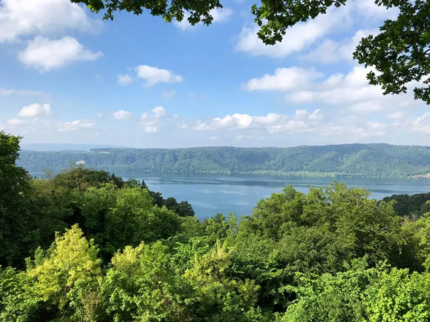 Ferienwohnung Haid Bodensee, Umgebung Bodman-Ludwigshafen, Radolfzell, Überlingen, Luxus FeWo Haid