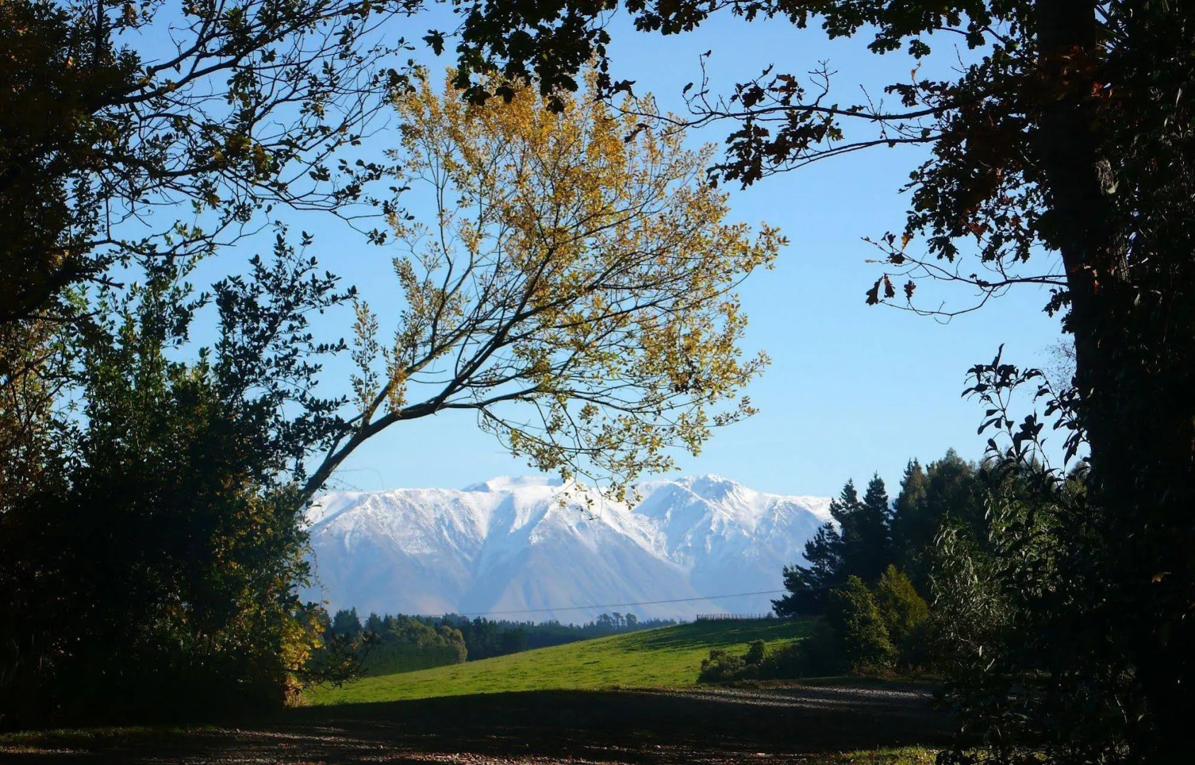 The Granary at Gunyah