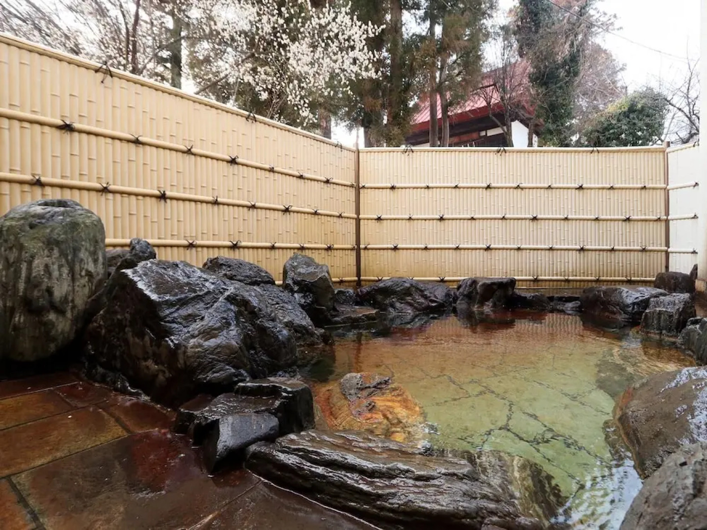 Iwashita Onsen Ryokan