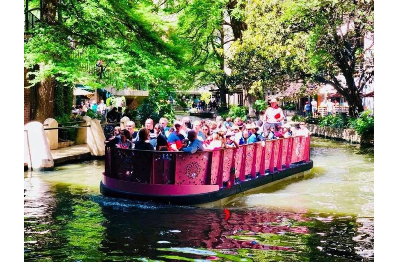 Tobin Hill 2/2 Apt#2 5minDT, 2min Pearl & St Marys