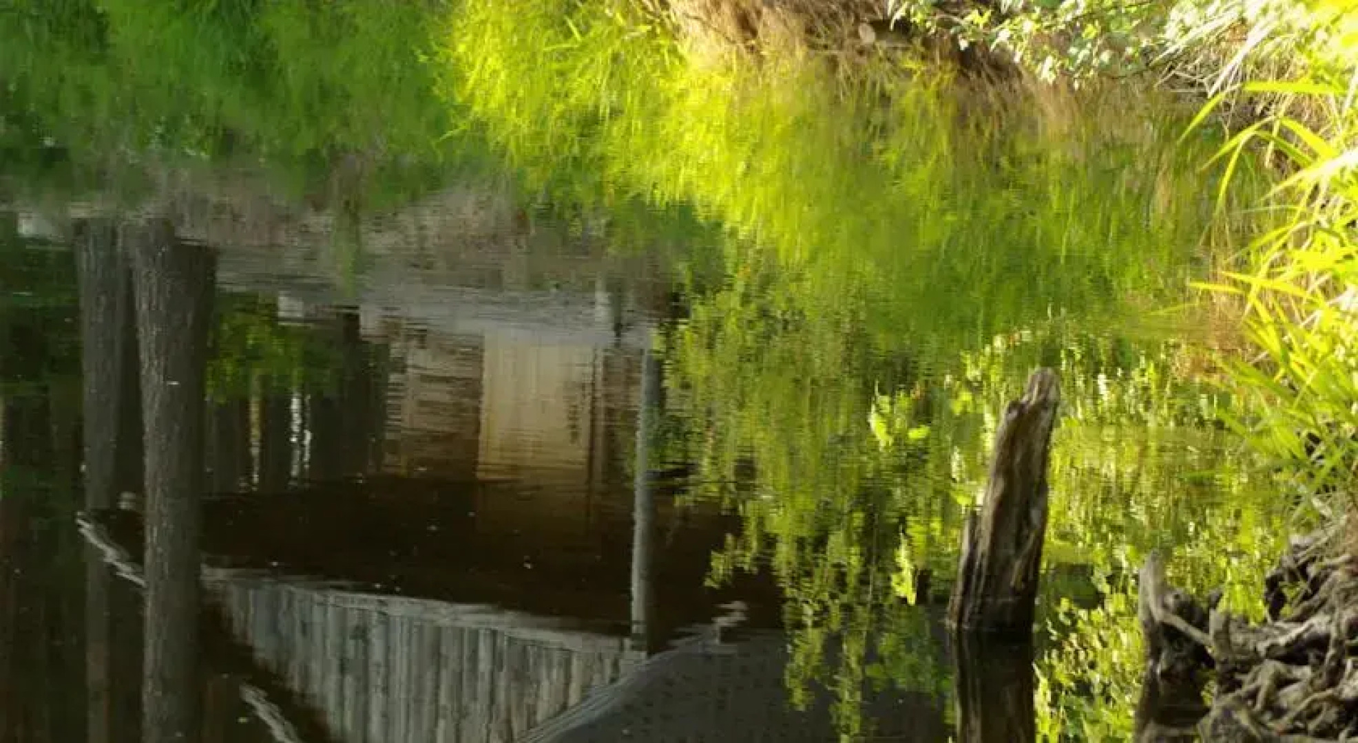 Kallaste Holiday Resort