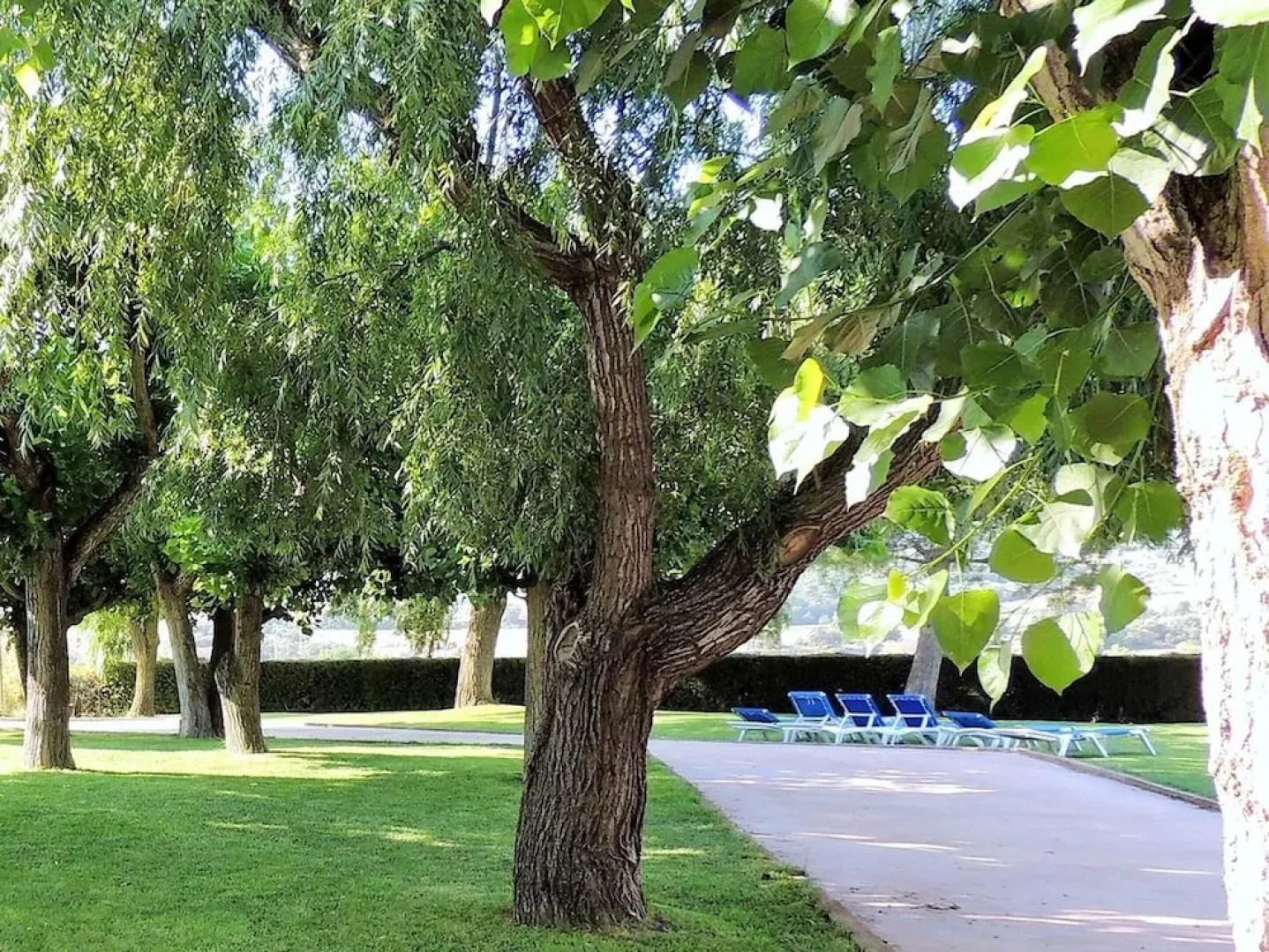 House With 4 Bedrooms in Cretas, With Wonderful Mountain View, Terrace and Wifi