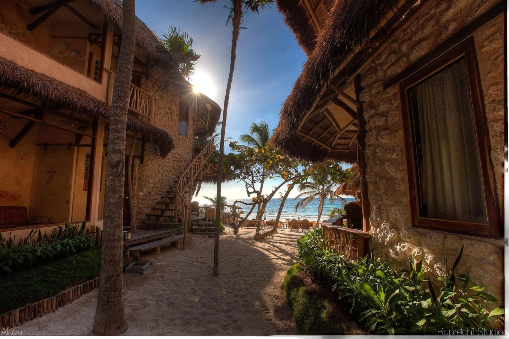 Life Source Retreats Tulum