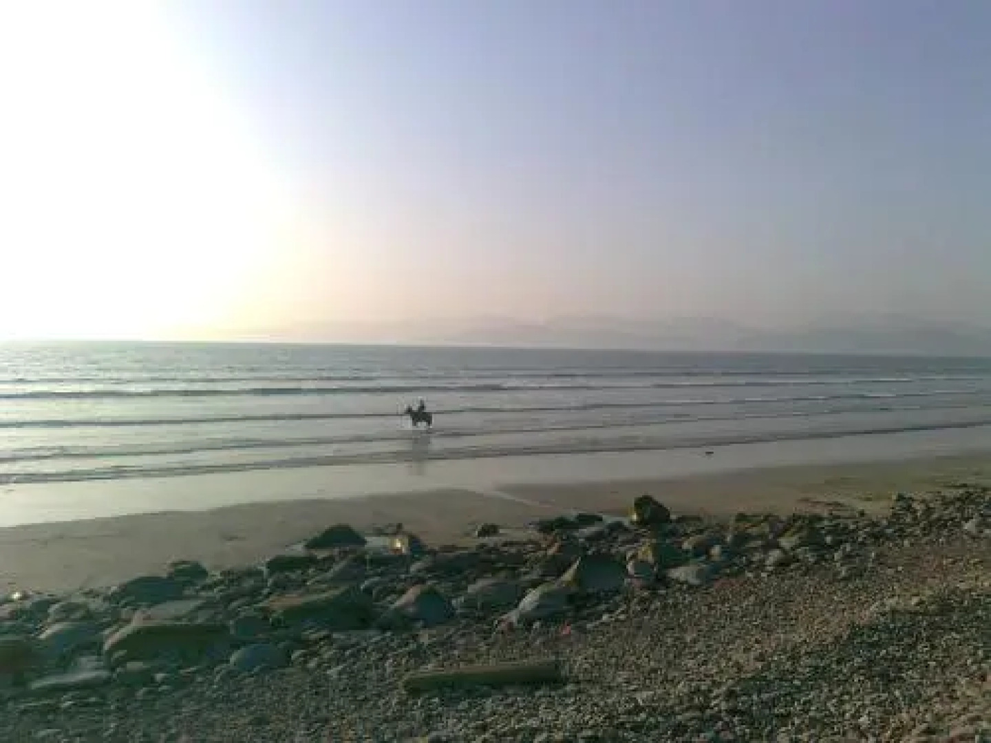 The Sleepy Camel Hostel