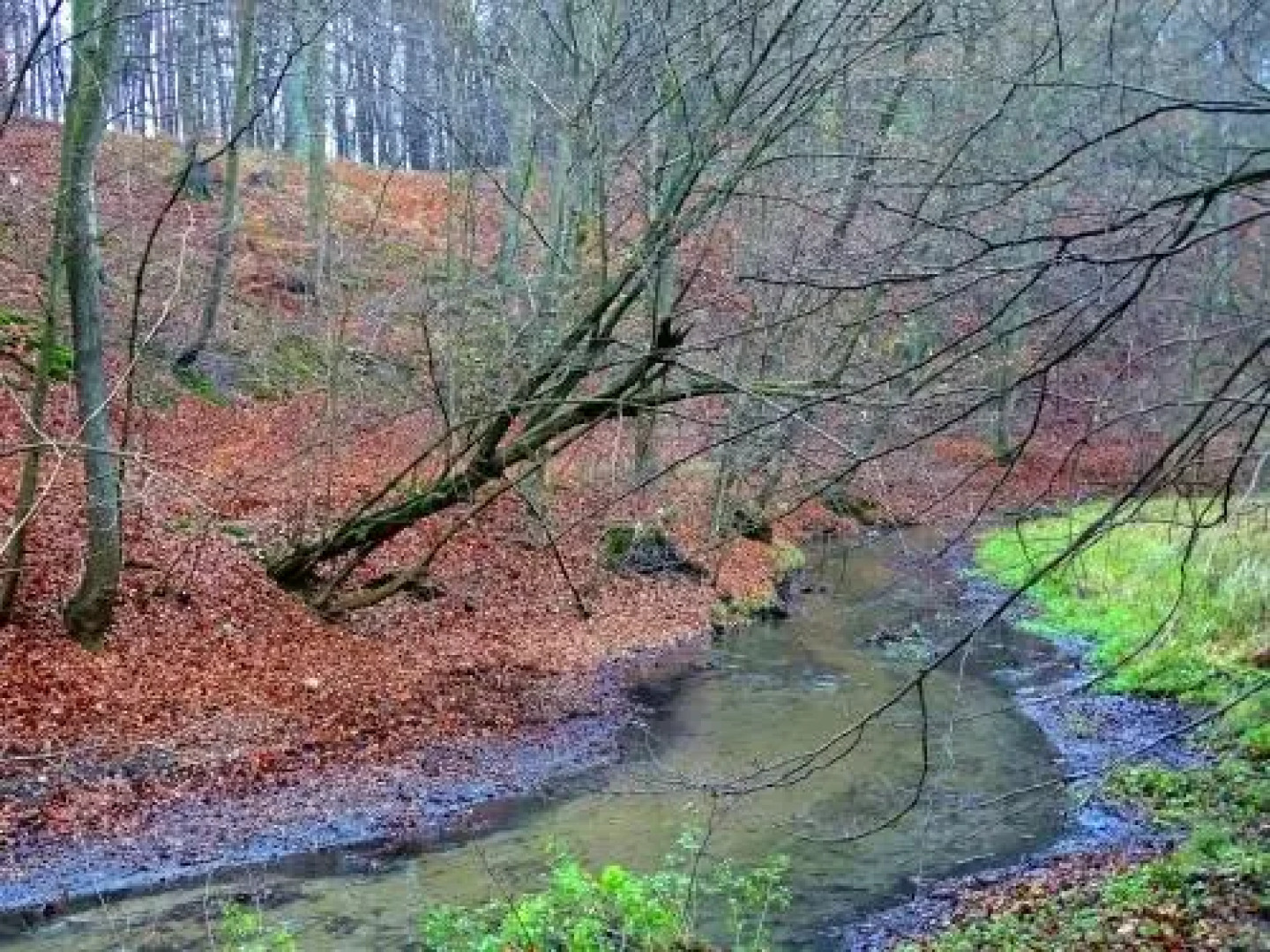 Bukowa Przystań Barlinek