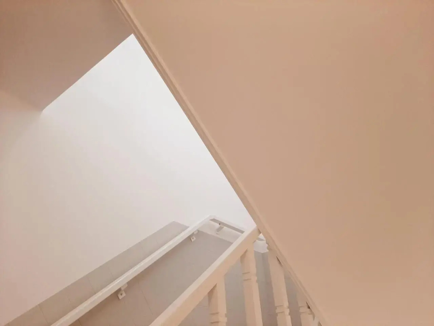 O VIOLAS — Tapas & Bed