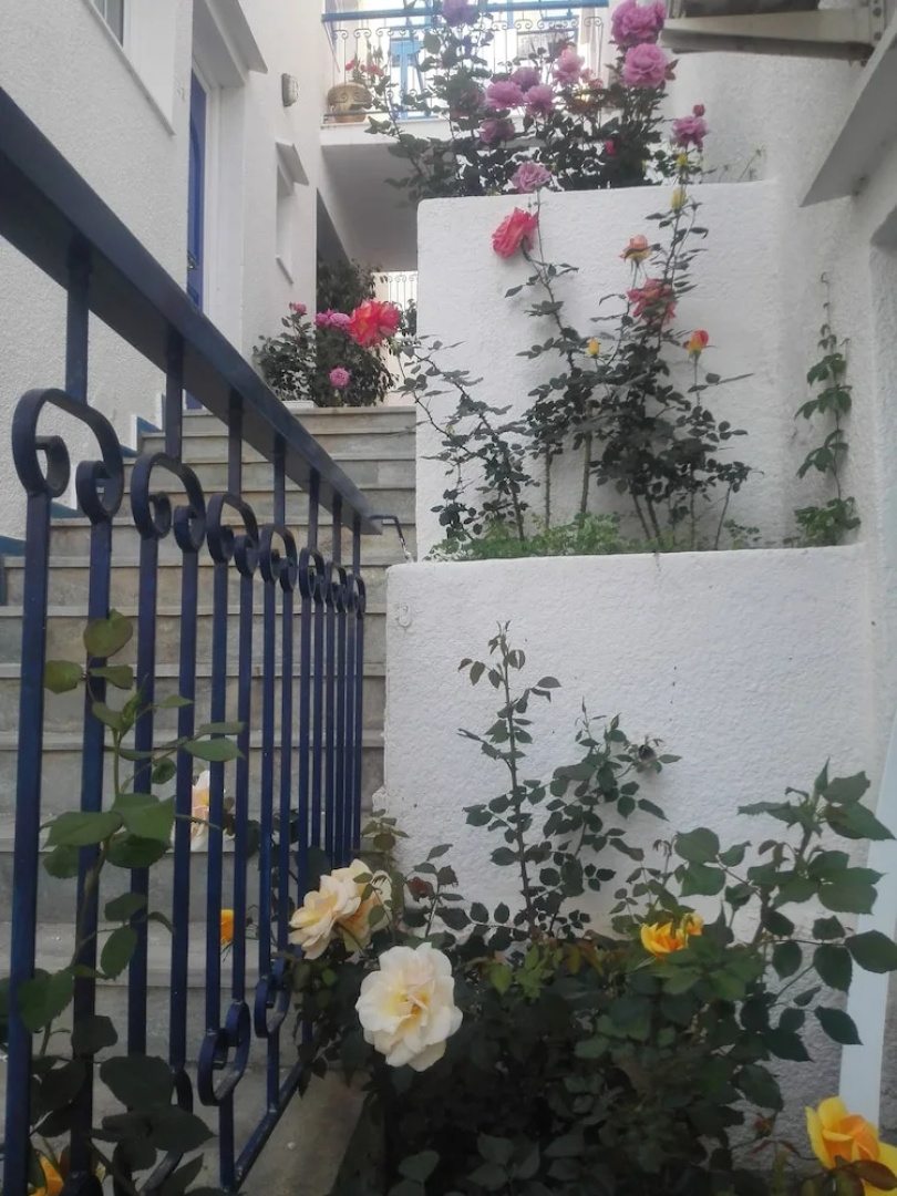 Studios Rania