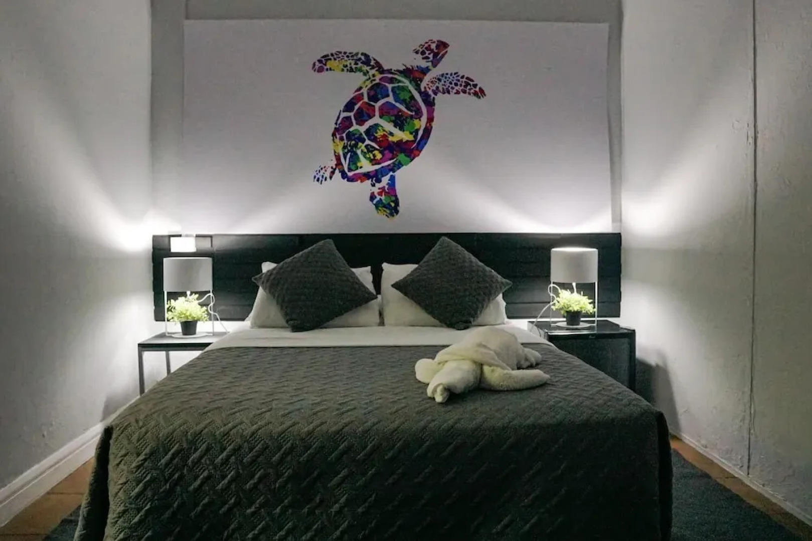 Turtle Saving Hostel