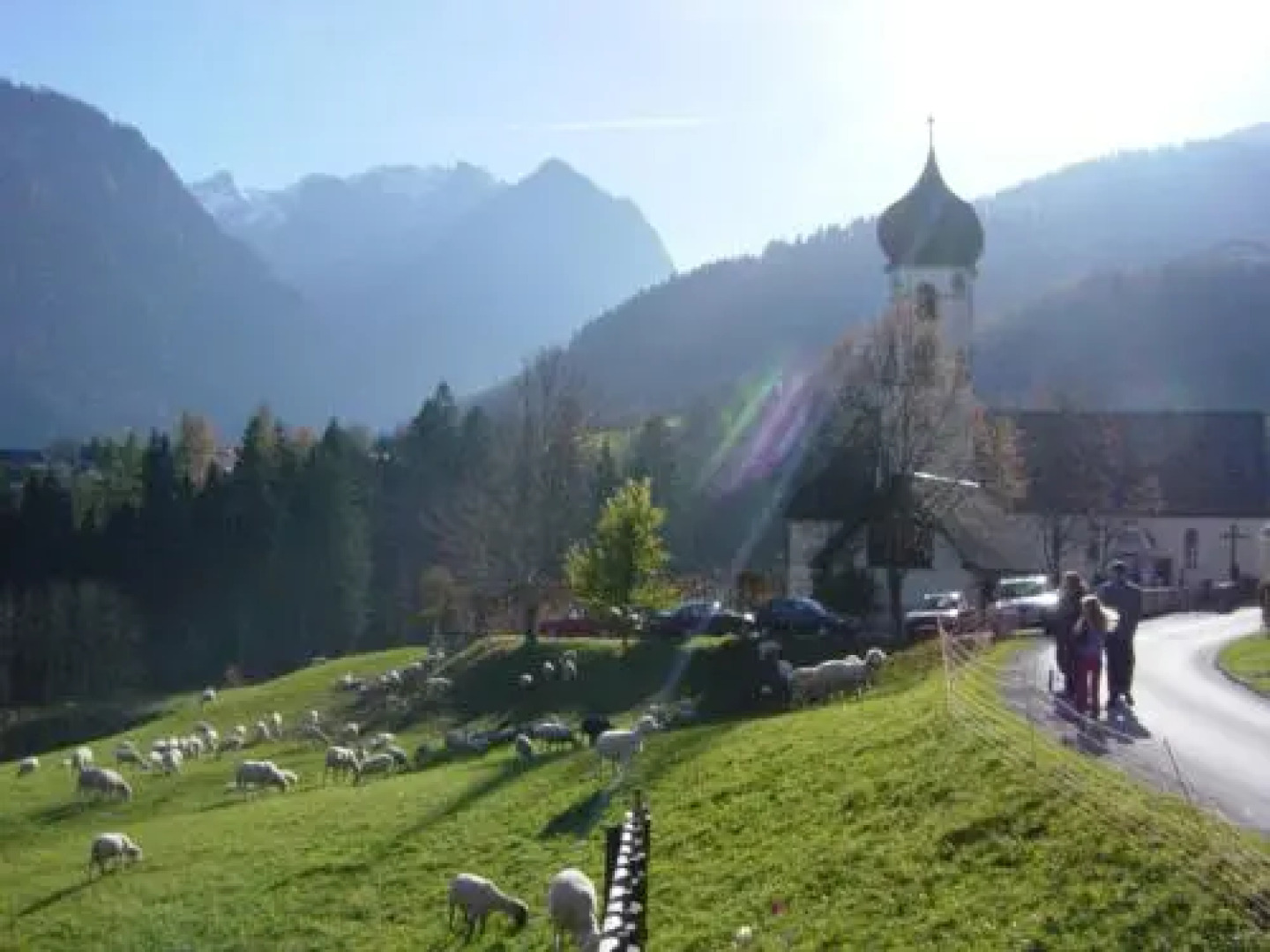 Hotel Gasthaus Schäfle