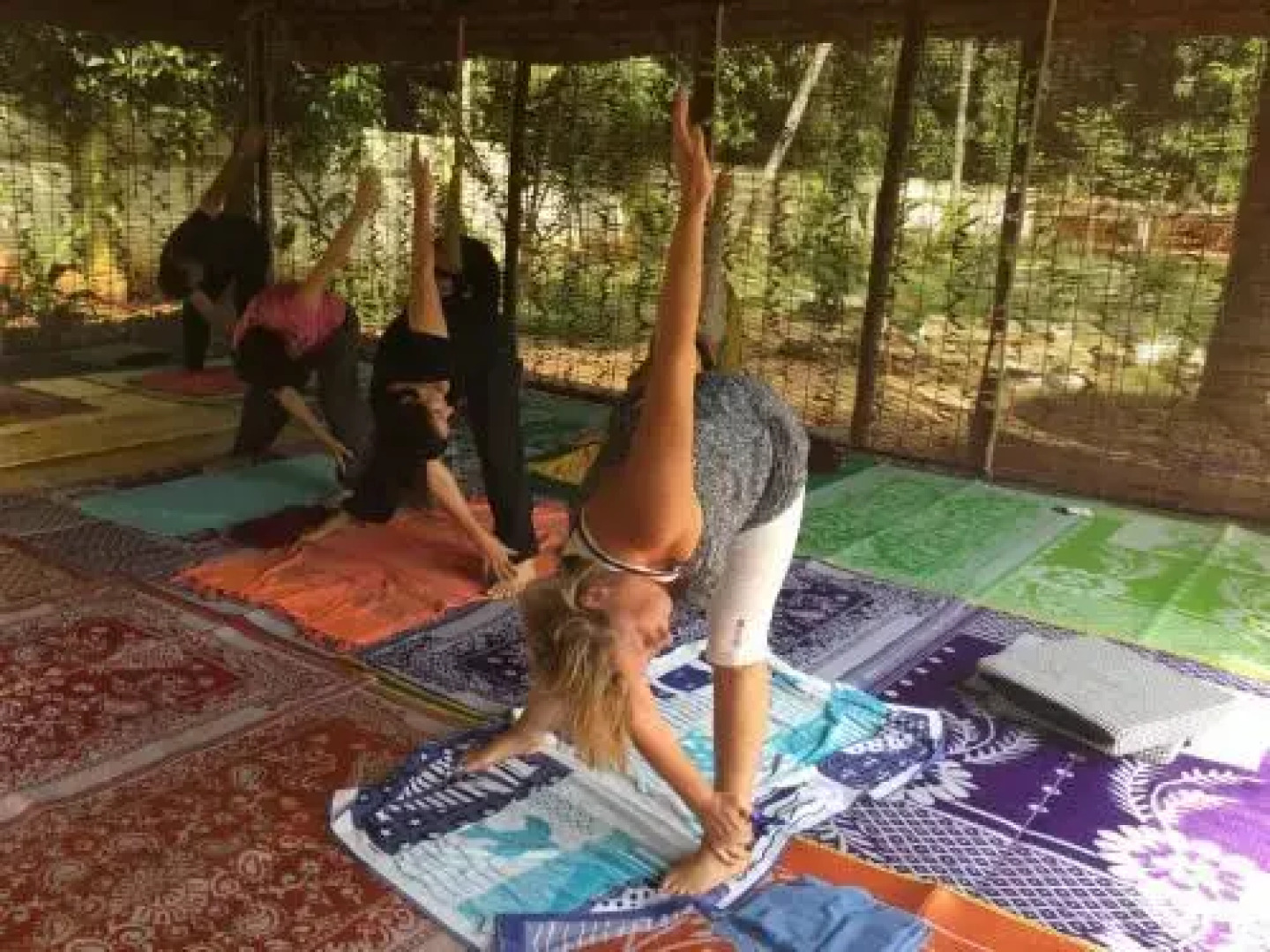 Deepanjali Wellness & Retreat