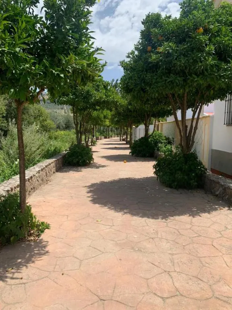 Apartamento en Cuevas del Becerro