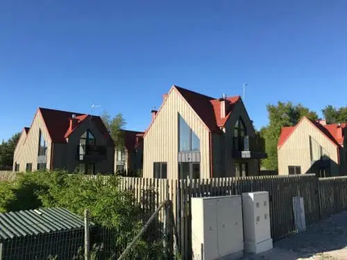 Ciki Puki Pajurys by alia Kopa